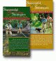 Successful Fly Fishing Strategies