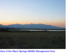 Looking out over Warm Spring Wildlife Management Area