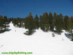 Intermediate ski trails off the Alpine Lift