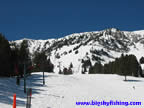 The view from the bottom of the Bridger Chair Lift