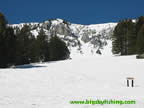 Looking up towards the Ridge and the North Bowl