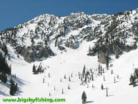 South Bowl at Bridger Bowl Ski Area