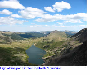 Alpine Pond in the Beartooth Mountains