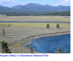 Hayden Valley and the Yellowstone River