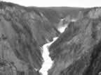 Yellowtone River seen from Artist Point (85,202 bytes)
