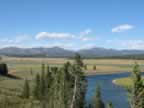 The beautiful Hayden Valley (84,569 bytes)