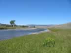 Lamar River in Yellowstone National Park (87,903 bytes)