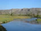 Madison River in Yellowstone National Park (56,963 bytes)