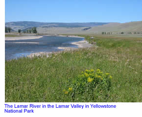 Lamar River