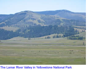 Lamar Valley in Yellowstone National Park