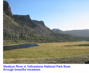 Madison River in Yellowstone National Park