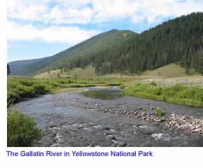 Gallatin River in Yellowstone National Park