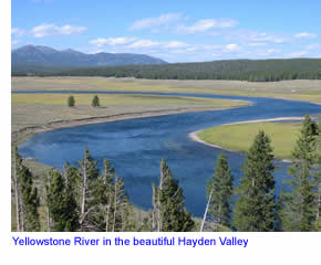 Yellowstone River