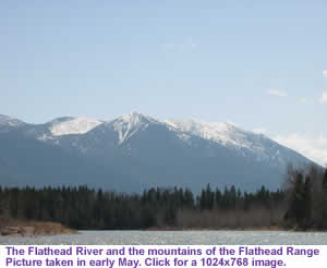 Flathead River in May