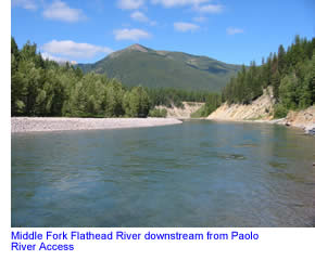 Middle Fork Flathead River near Paolo Creek
