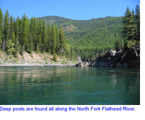 North Fork Flathead River