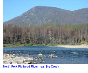 North Fork Flathead River