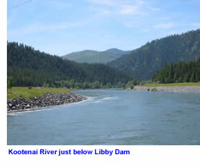 Kootenai River just below Libby Dam. Large photo not available