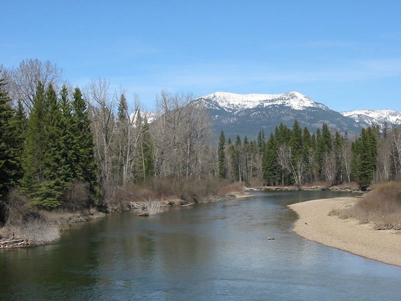 Forested banks and lots of turns are the rule on the Swan River