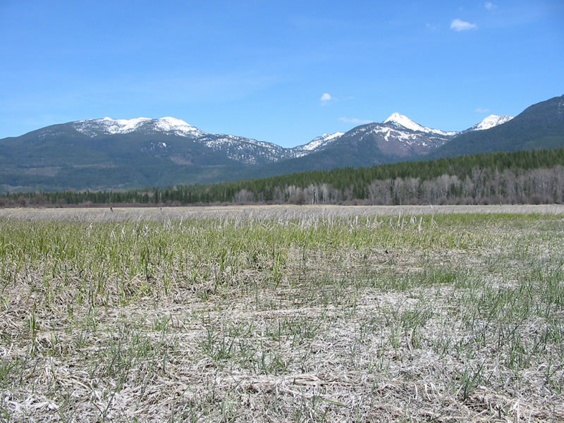 The Swan River passes on the western edge of the Swan River Wildlife Refuge, seen here.