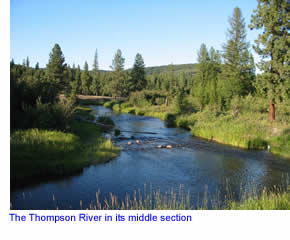 Middle section of the Thompson River