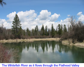 Whitefish River
