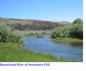 Fly Fishing on the Beaverhead River