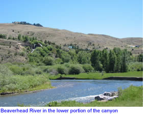 Beaverhead River as it emergest from the canyon