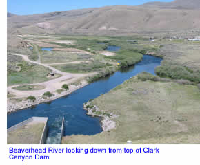 Beaverhead Montana