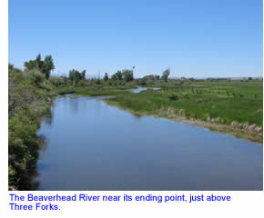Lower Beaverhead River