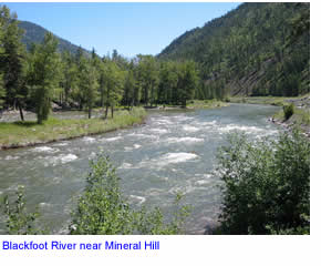 Blackfoot River near Mineral Hill FAS