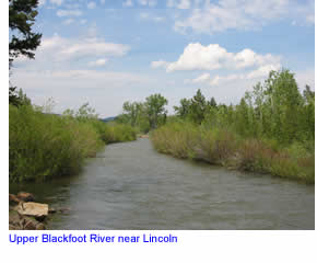 Upper Blackfoot River near Lincoln