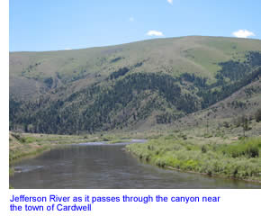 Jefferson River near Cardwell