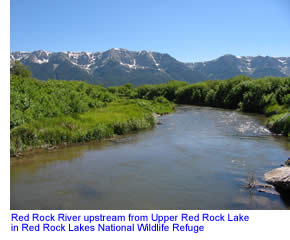 Red Rock River by the Centennial Mountains