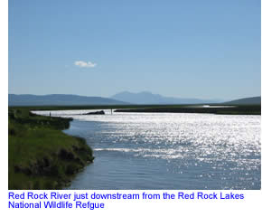 Lower Red Rock River