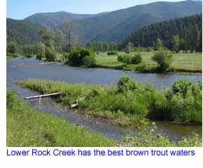 Lower Rock Creek