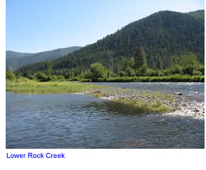Brown trout waters on lower Rock Creek