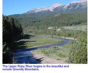 Upper Ruby River