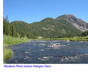 Madison River below Hebgen Dam