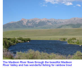 Madison River near McAtee Bridge