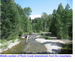 The Middle Section of Rock Creek