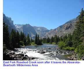 East Fork Rosebud Creek
