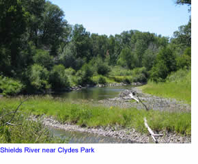 Shields River