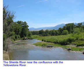 Lower Shields River
