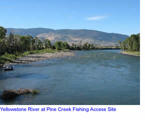 Yellowstone River at Pine Creek