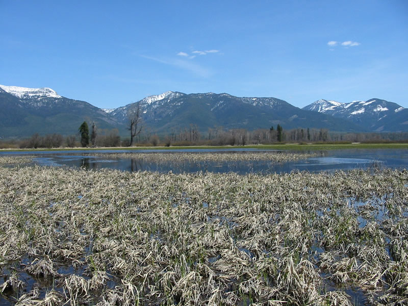 Another view of the Swan River in the Swan River Wildlife Refuge