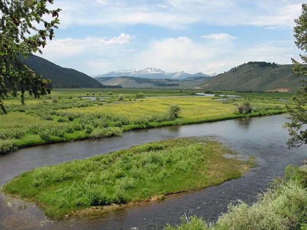 Big Hole River in Montana | Detailed Fly Fishing & Floating Guide