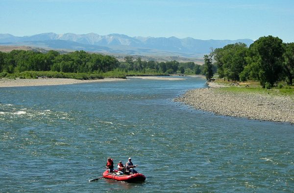 Yellowstone River in Montana | Detailed Fly Fishing & Floating Guide