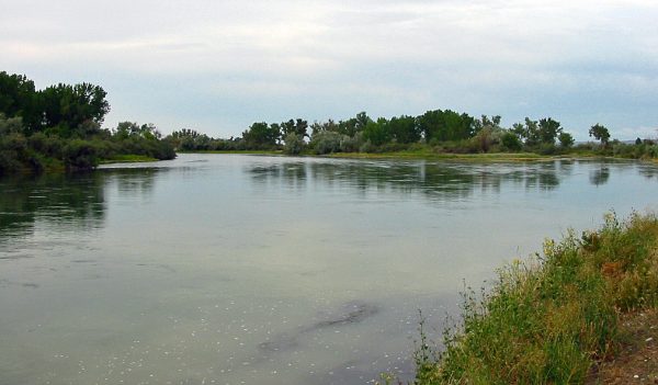 The Bighorn River In Montana : Fly Fishing Information, Photos, & Guide