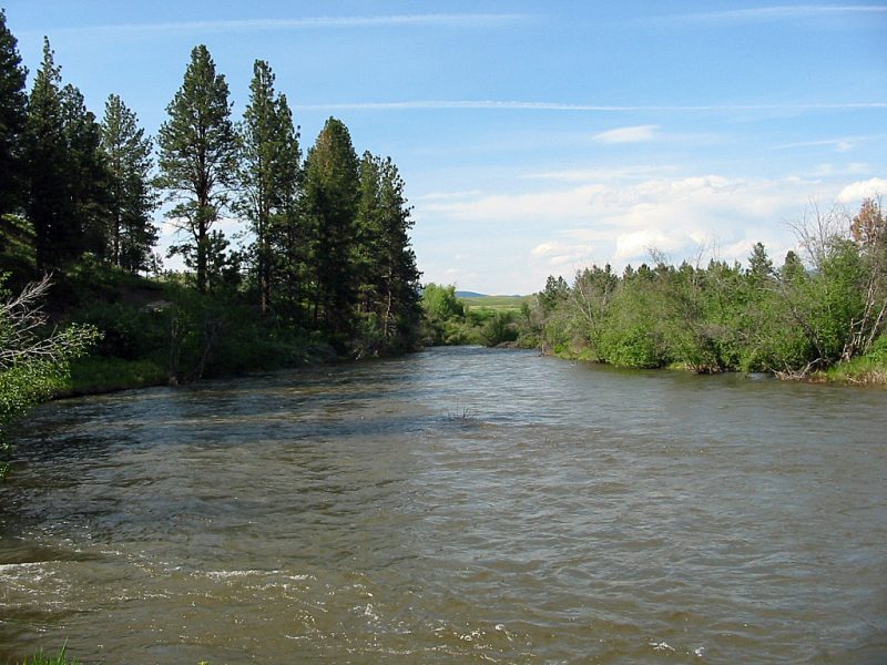 The Blackfoot River in Montana | Detailed Fly Fishing & Floating Guide